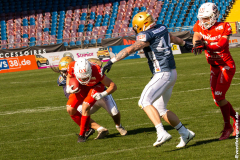 Lions_Dresden_2108_2022_118