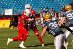 Lions_Dresden_2108_2022_119