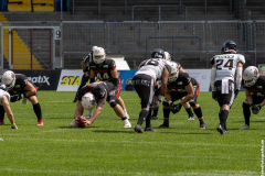 Lions_Rebels_25062023_034