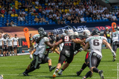 Lions_Rebels_25062023_036