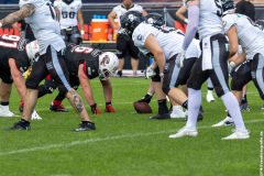 Lions_Rebels_25062023_065