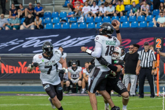 Lions_Rebels_25062023_068