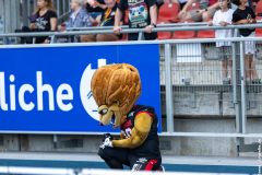 Lions_Rebels_25062023_076