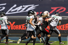 Lions_Rebels_25062023_084