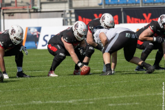 Lions_Rebels_25062023_090
