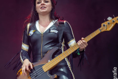 RHZ_Doi_22_039