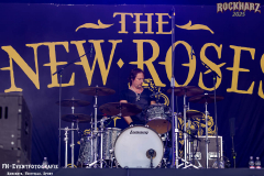 RHZ25_Do_07_The_New_Roses_001