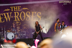 RHZ25_Do_07_The_New_Roses_040