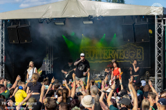 RIG25_06_Butterwegge_040