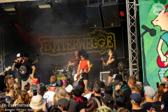 RIG25_06_Butterwegge_045