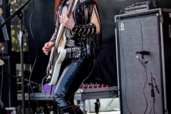 03_RIR23_Sa_Crystal_Viper_027