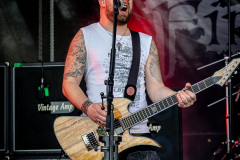 03_RMD_SA_Fire_Rose_034