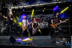 03_RMD_SA_Fire_Rose_051